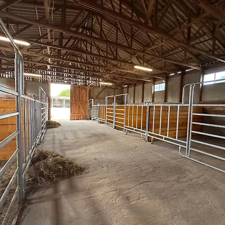 Eickhof Ferienzimmer No1 Mit Parkplatz - Guenter - *
