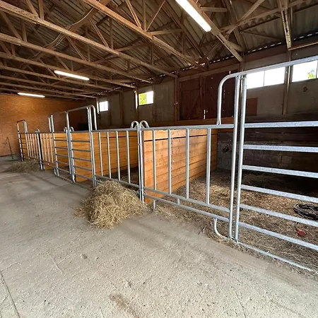 Eickhof Ferienzimmer No1 Mit Parkplatz - Guenter - Warnow (Rostock)